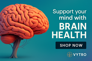 Digital graphic showcasing brain health with vibrant neural imagery and botanical elements – VYTRO Brain Supplements Category Banner