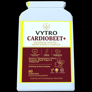 Quantum Holographic Hero Image