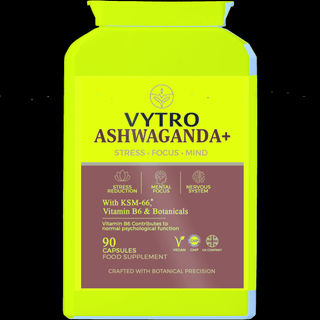 Quantum Holographic Hero Image