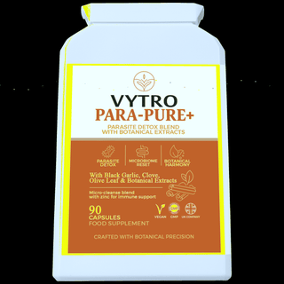 Quantum Holographic Hero Image