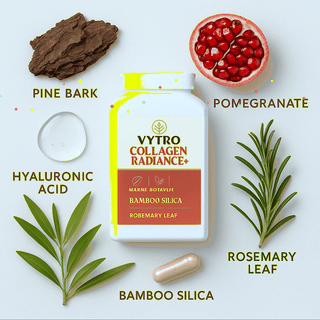 Quantum Holographic Hero Image