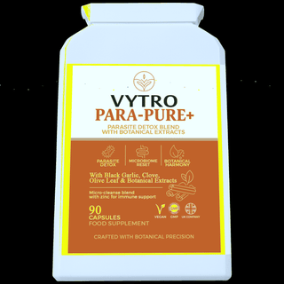 Quantum Holographic Hero Image