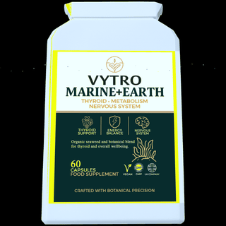 Quantum Holographic Hero Image