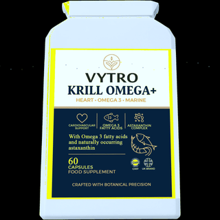 Quantum Holographic Hero Image