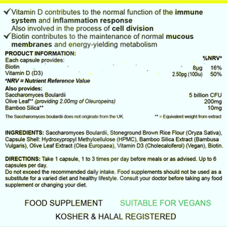 Quantum Holographic Hero Image