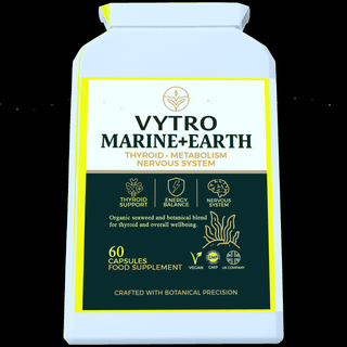 Quantum Holographic Hero Image